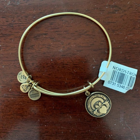Alex and Ani Jewelry - Alex and Ani Gold Bracelet
